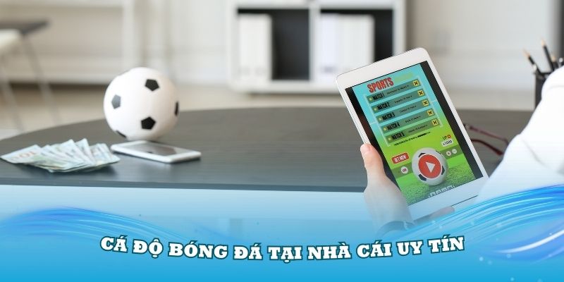 Lý do mọi người yêu thích cá độ bóng đá tại Nhà Cái Uy Tín