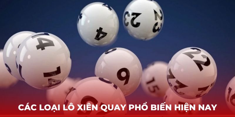 Các loại lô xiên quay phổ biến hiện nay